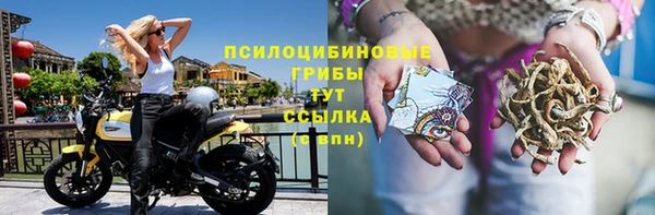 амф Нефтегорск