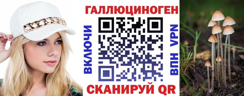 Галлюциногенные грибы Psilocybe  Купить закладки  Заозёрный 